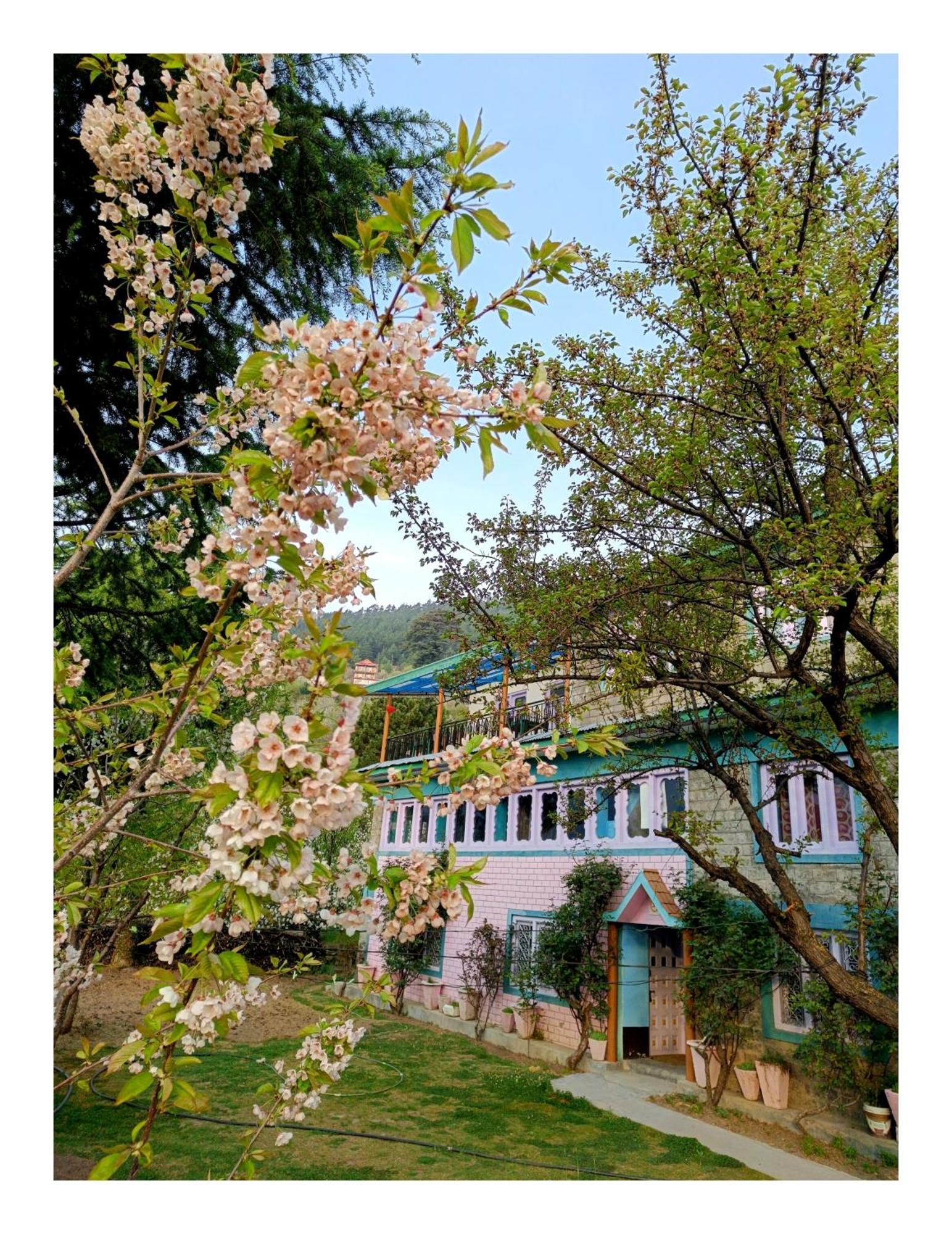 Farmvilla Homestay カルプ エクステリア 写真