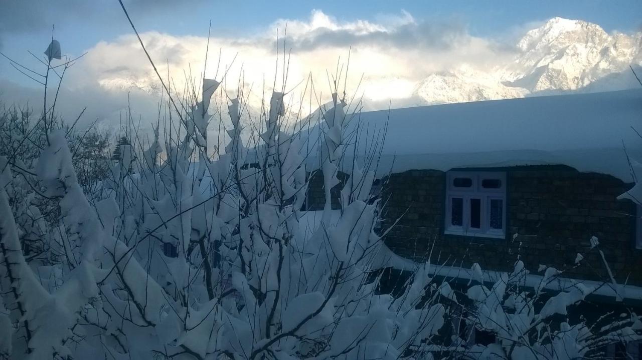 Farmvilla Homestay カルプ エクステリア 写真